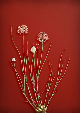 Vintage Floral on Red