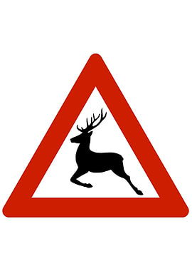 Norwegian Road Sign