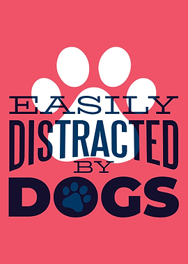 distracted by dogs