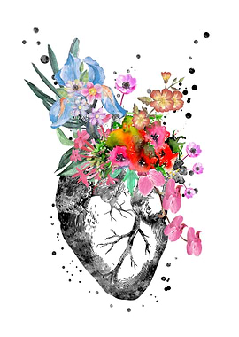 Anatomical heart