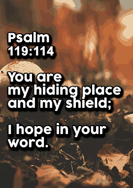 Life Love Quotes 497