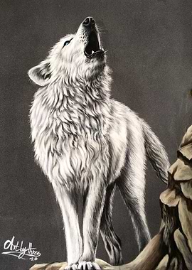 Howling Arctic Wolf