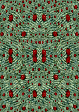 Lady bugs everywhere