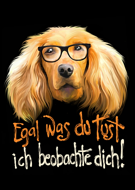 Golden Retriever Glasses