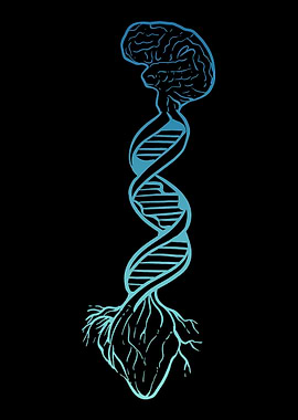 Heart Brain Art Doctor Or