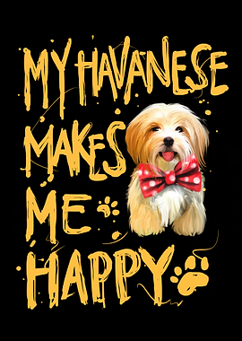 My havanese happy