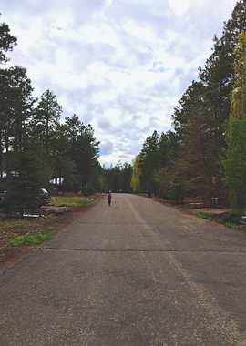 Flagstaff