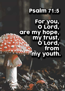 Life Love Quotes 496