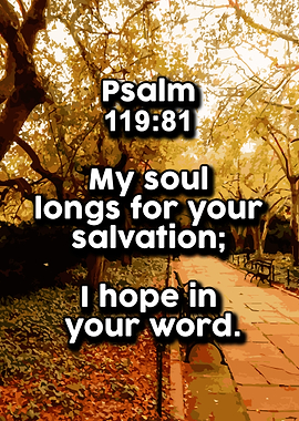 Life Love Quotes 520