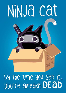 Ninja Cat