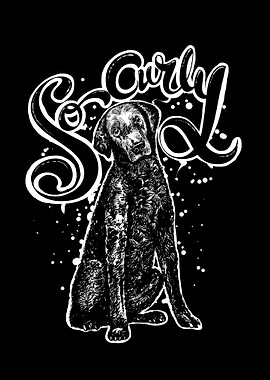 So curly coated retriever