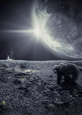 Bear Moon
