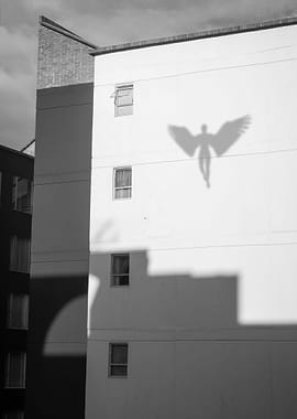 Angels Shadow
