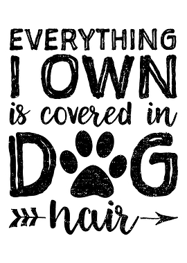 Everything I Own Is Covere