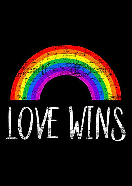 Love Wins Funny Valentine