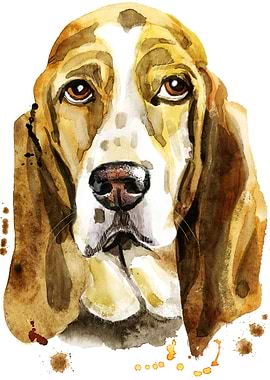 BASSET HOUND DOG
