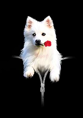 Japanese Spitz with Rose