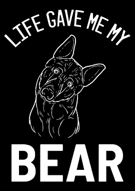 German Shepherd Bear Dog P