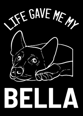 German Shepherd Bella Pet