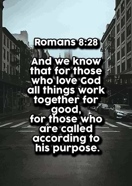 Life Love Quotes 541