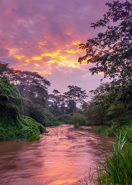 Sunrise on Ishasha river