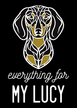 Dachshund Lucy Dachshund O