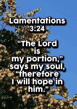 Life Love Quotes 528