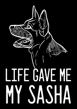 German Shepherd Sasha Dog