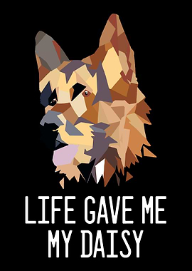 German Shepherd Daisy Dog