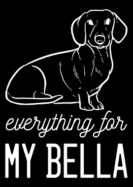 Dachshund Bella Dog Traine