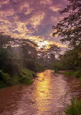 Sunrise view of Ishasha
