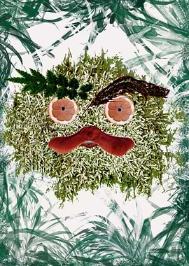 Leaves Forest Monster