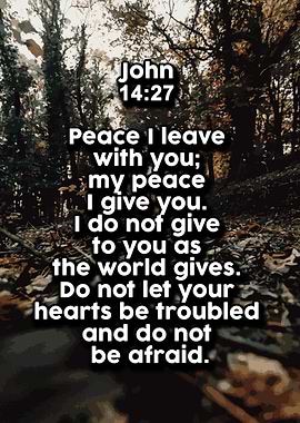 Life Love Quotes 540