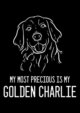Golden Retriever Charlie A