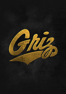 Richard Kwiecinski GRiZ DJ