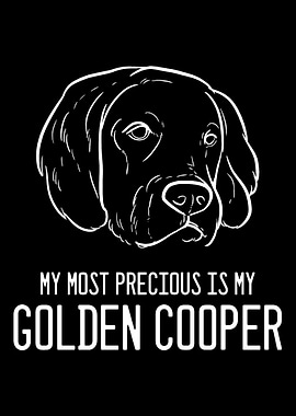 Golden Retriever Cooper An