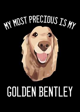 Golden Retriever Bentley D