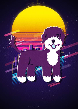 Portuguese Water Dog