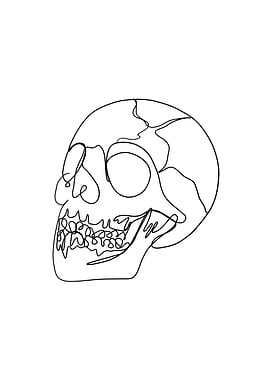 Line Art Skull