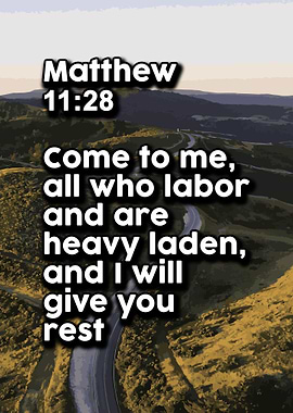 Life Love Quotes 556