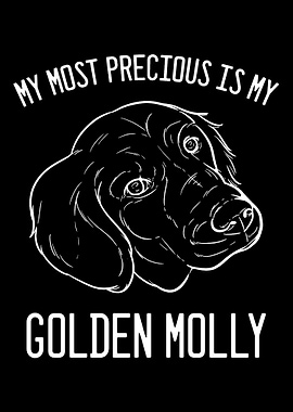 Golden Retriever Molly Dog
