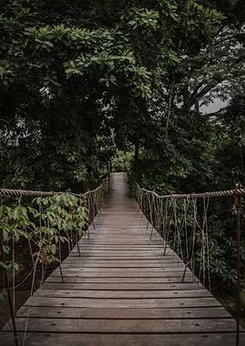 Suspended wooden Bridge