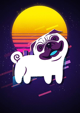 Pug