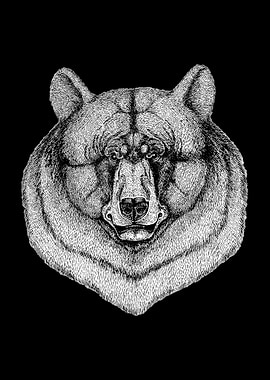 Grizzly Bear Drawing