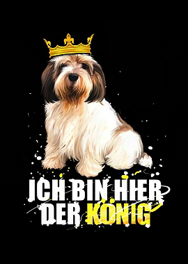 Ich bin hier der Koenig