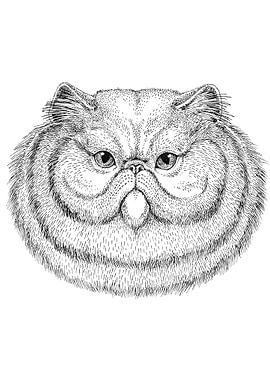Cute Cat Drawing