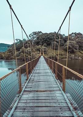 Suspended Bridge at lake