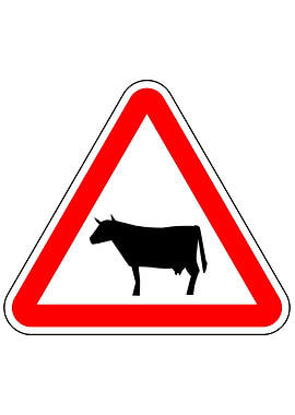 Portugal Road Sign