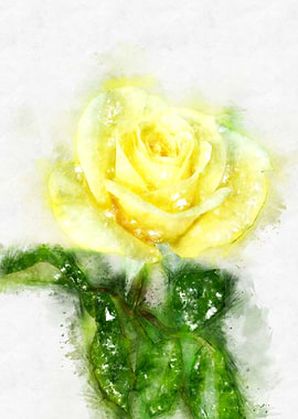 yellow rose watercolor