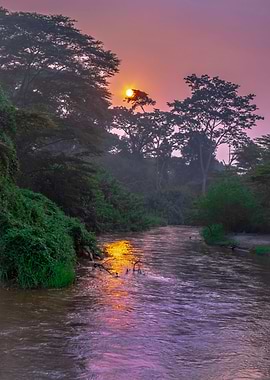 Sunrise on Ishasha river